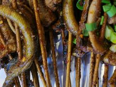 鳝鱼-晓靖轩烧烤(沙河风情店)