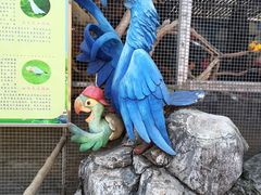 -昆明动物园