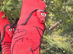 -宜兴龙背山森林公园