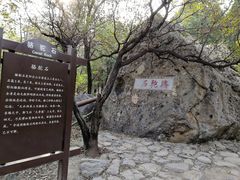 -阳台山自然风景区