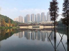 -重庆彩云湖湿地公园