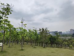 -牛岗山公园