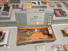 -北京中医药大学-中医药博物馆