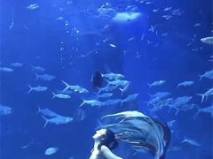 -多彩贵州城极地海洋世界