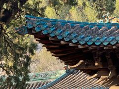 -窦大夫祠