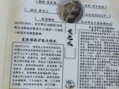 -青藏高原野生动物园