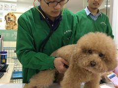 -佳雯宠物医院(四明中路分院)