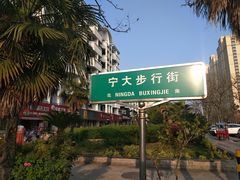 -鸡柳大人(宁大店)