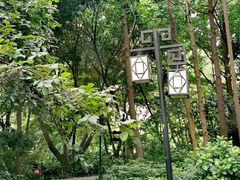 -成都市活水公园