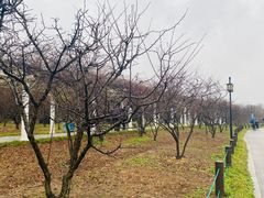 -苏州上方山国家森林公园