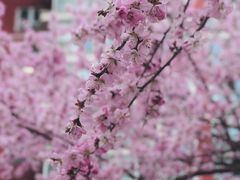 -南长河公园