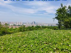 -南京市江宁方山