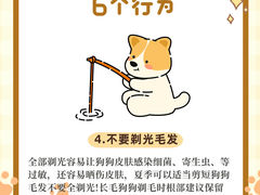 -瑞派申生动物医院·24H夜诊·国际动物医疗中心·骨外科(吴中路店)