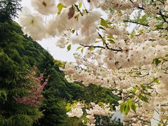 -少华山国家森林公园