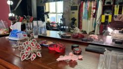 -胭脂猫京剧摄影