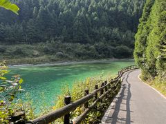 -武陵山森林公园