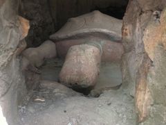 -上海佘山国家森林公园天马山园