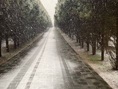 -秦始皇帝陵博物院-丽山园