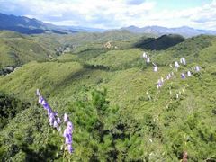 -蟠龙山长城景区