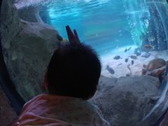 -沈阳海洋探索中心