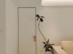 -枳兮设计· 全案空间设计装修