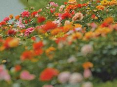 -人民公园(罗湖区)