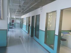 -欧奕国际动物医院