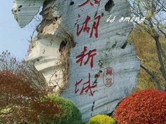 -贡湖湾湿地公园