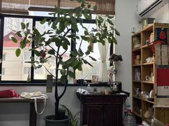 -曦辰书院·书法篆刻