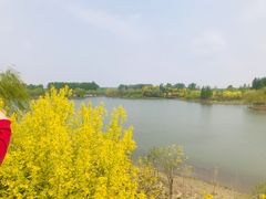 -东郊湿地公园