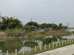 -王借岗森林公园