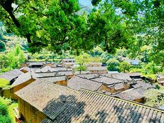 -杨家堂村
