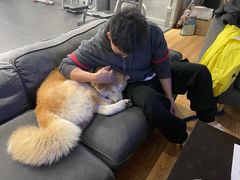 -YCHL Studios健身工作室(市二宫店)