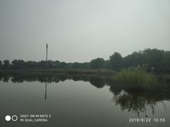 -永定河休闲森林公园