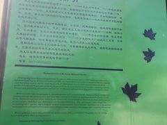 -黑龙江省森林植物园