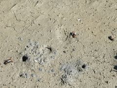 -北海金海湾红树林生态旅游区