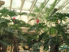 -顺峰·粤菜海鲜·早茶自助(阜成店)