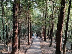 -滴水岩森林公园