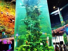 -青岛嘉年华主题乐园