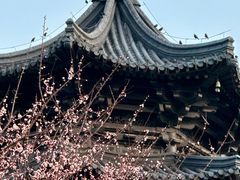 -凤城河风景区