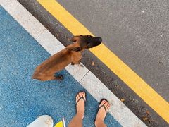 -西涌国际滨海旅游区