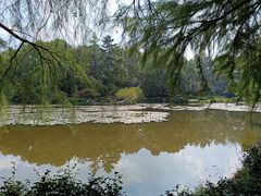 -杭州植物园