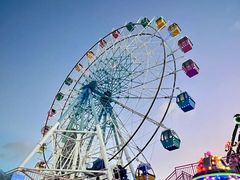 -巨鹏飞梦幻海岸