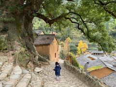 -杨家堂村