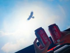 -英皇电影城(英皇集团中心IMAX店)