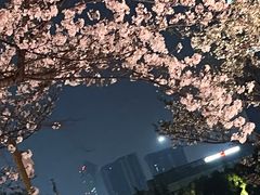 -西北湖绿化广场
