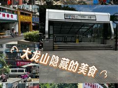 -大龙山(地铁站)