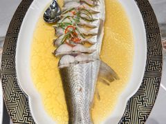 -沪上馨和小馆•海派上海菜(陆家浜路店)