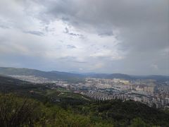 -长虫山生态公园风景林
