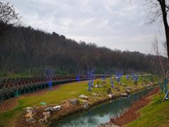 -羊山湖公园